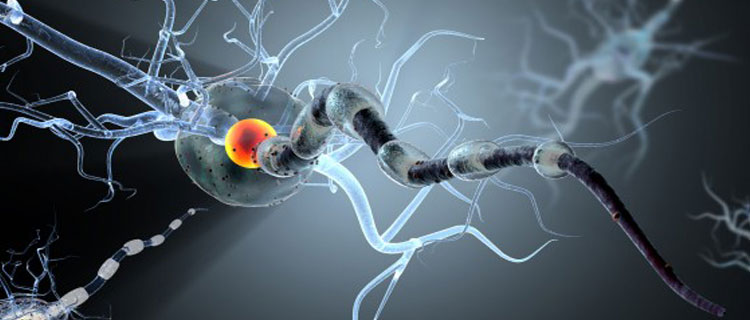 Esclerose múltipla pode causar candidíase?